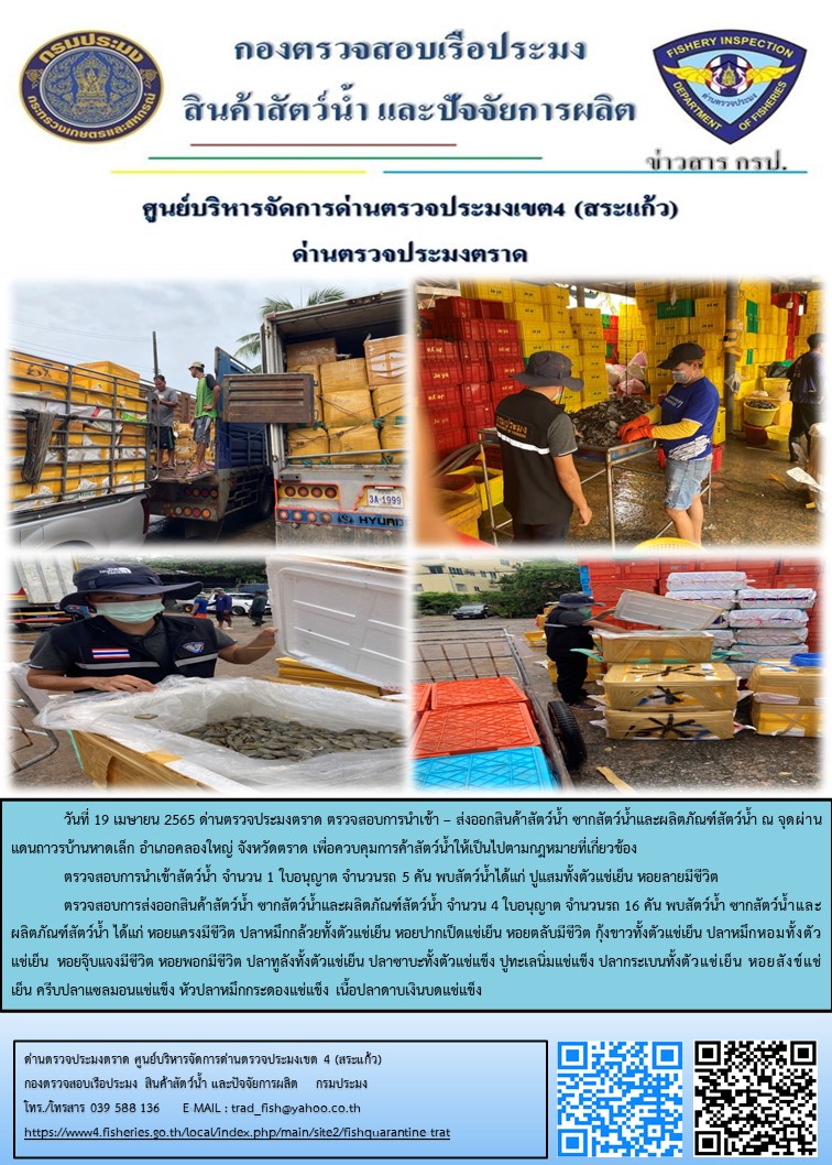 วันที่ 19 เมษายน 2565 ด่านตรวจประมงตราด ตรวจสอบการนำเข้า – ส่งออกสินค้าสัตว์น้ำ ซากสัตว์น้ำและผลิตภัณฑ์สัตว์น้ำ ณ จุดผ่านแดนถาวรบ้านหาดเล็ก อำเภอคลองใหญ่ จังหวัดตราด และ ตรวจสอบเรือประมงไทย ร่วมกับชุดสหวิชาชีพ กรมเจ้าท่า กรมการจัดหางาน กรมสวัสดิการและคุ้มครองแรงงานและล่ามภาษากัมพูชา ในพื้นที่อำเภอคลองใหญ่ อำเภอเมือง อำเภอแหลมงอบ จังหวัดตราด..คลิก