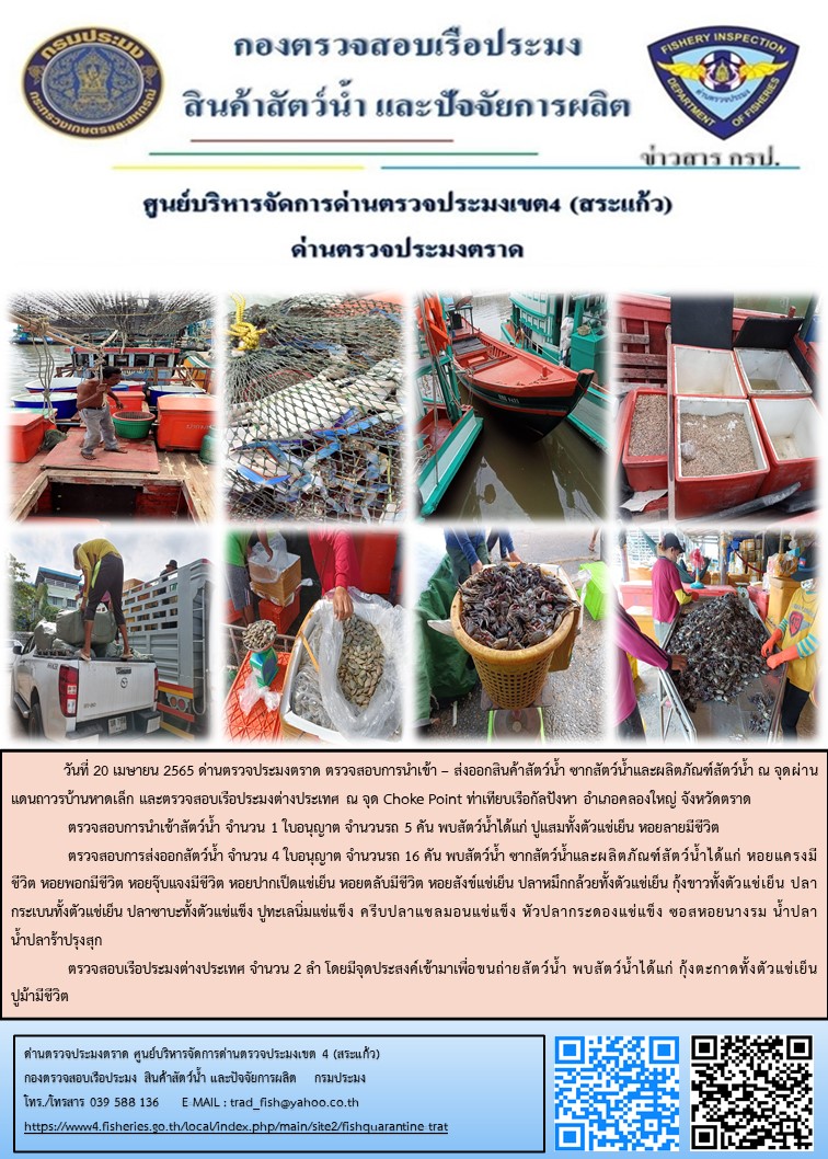 วันที่ 20 เมษายน 2565 ด่านตรวจประมงตราด ตรวจสอบการนำเข้า – ส่งออกสินค้าสัตว์น้ำ ซากสัตว์น้ำและผลิตภัณฑ์สัตว์น้ำ ณ จุดผ่านแดนถาวรบ้านหาดเล็ก ตรวจสอบเรือประมงต่างประเทศ ณ จุด Choke Point ท่าเทียบเรือกัลปังหา อำเภอคลองใหญ่ จังหวัดตราด และ ตรวจสอบเรือประมงไทย ร่วมกับชุดสหวิชาชีพ กรมเจ้าท่า กรมการจัดหางาน กรมสวัสดิการและคุ้มครองแรงงานและล่ามภาษากัมพูชา ในพื้นที่อำเภอคลองใหญ่ อำเภอเมือง อำเภอแหลมงอบ จังหวัดตราด..คลิก