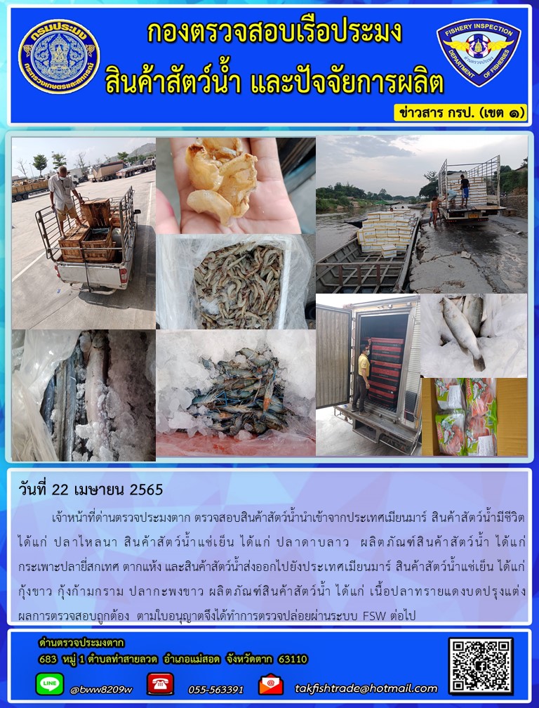วันที่ 22 เมษายน 2565   	เจ้าหน้าที่ด่านตรวจประมงตาก ตรวจสอบสินค้าสัตว์น้ำนำเข้าจากประเทศเมียนมาร์ สินค้าสัตว์น้ำมีชีวิต   ได้แก่ ปลาไหลนา สินค้าสัตว์น้ำแช่เย็น ได้แก่ ปลาดาบลาว  ผลิตภัณฑ์สินค้าสัตว์น้ำ ได้แก่                     กระเพาะปลายี่สกเทศ ตากแห้ง และสินค้าสัตว์น้ำส่งออกไปยังประเทศเมียนมาร์ สินค้าสัตว์น้ำแช่เย็น ได้แก่   กุ้งขาว กุ้งก้ามกราม ปลากะพงขาว ผลิตภัณฑ์สินค้าสัตว์น้ำ ได้แก่ เนื้อปลาทรายแดงบดปรุงแต่ง                 ผลการตรวจสอบถูกต้อง  ตามใบอนุญาตจึงได้ทำการตรวจปล่อยผ่านระบบ FSW ต่อไป..คลิก