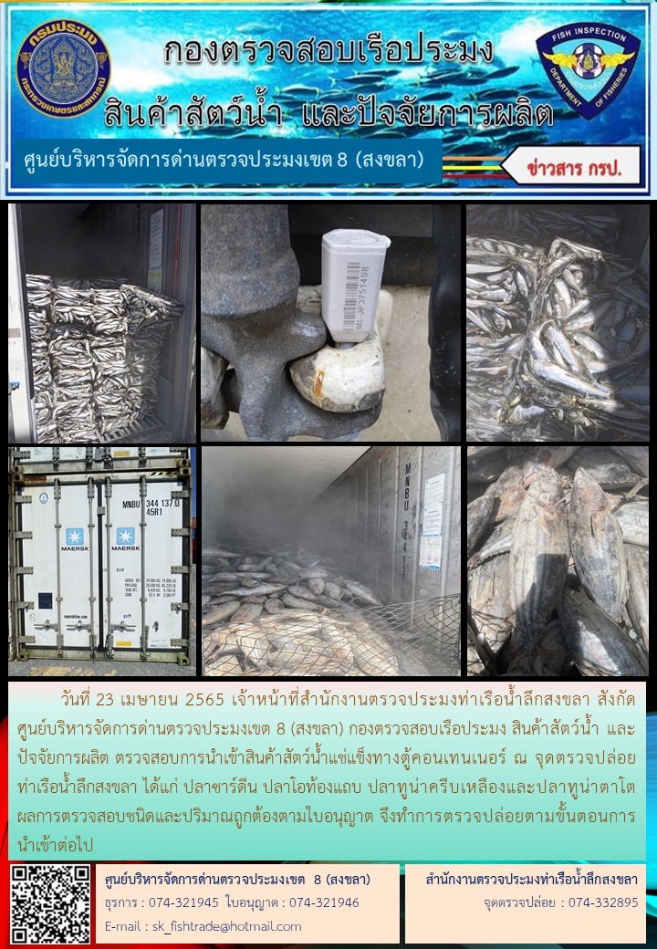 ประชาสัมพันธ์การปฏิบัติงาน วันที่ 23 เมษายน 2565 สำนักงานตรวจประมงท่าเรือน้ำลึกสงขลา..คลิก