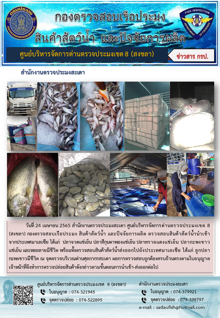 ประชาสัมพันธ์การปฏิบัติงาน วันที่ 24 เมษายน 2565 สำนักงานตรวจประมงสะเดา..คลิก