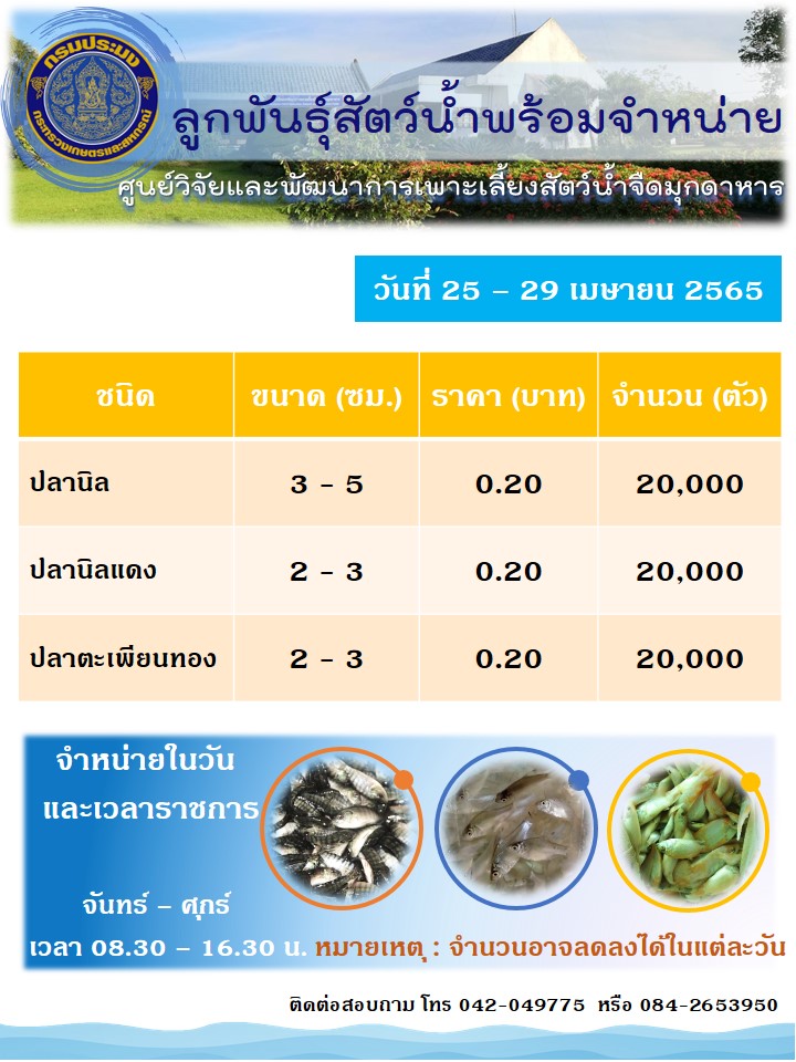 ลูกพันธุ์สัตว์น้ำพร้อมจำหน่าย..คลิก