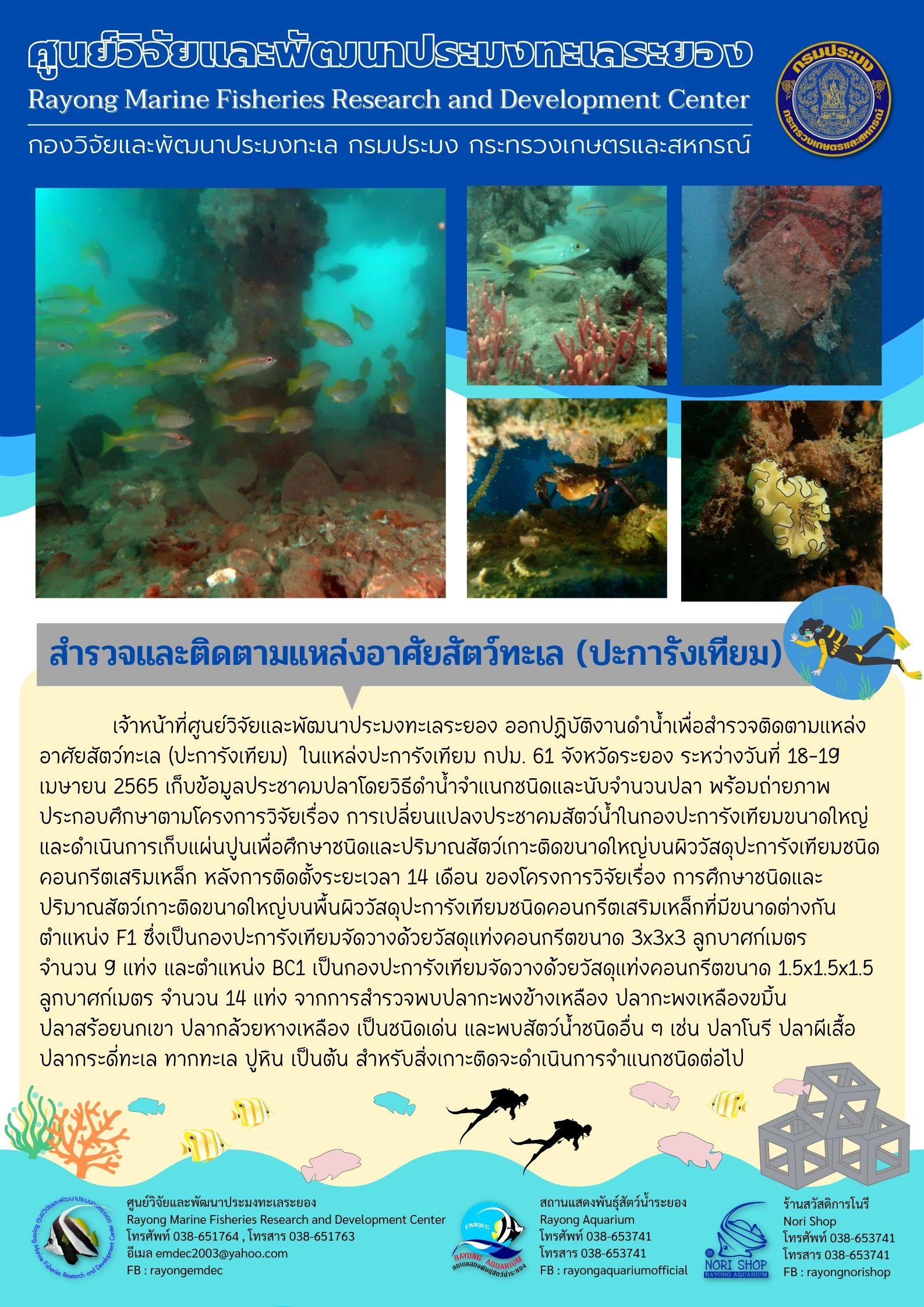 สำรวจและติดตามแหล่งอาศัยสัตว์ทะเล (ปะการังเทียม)..คลิก