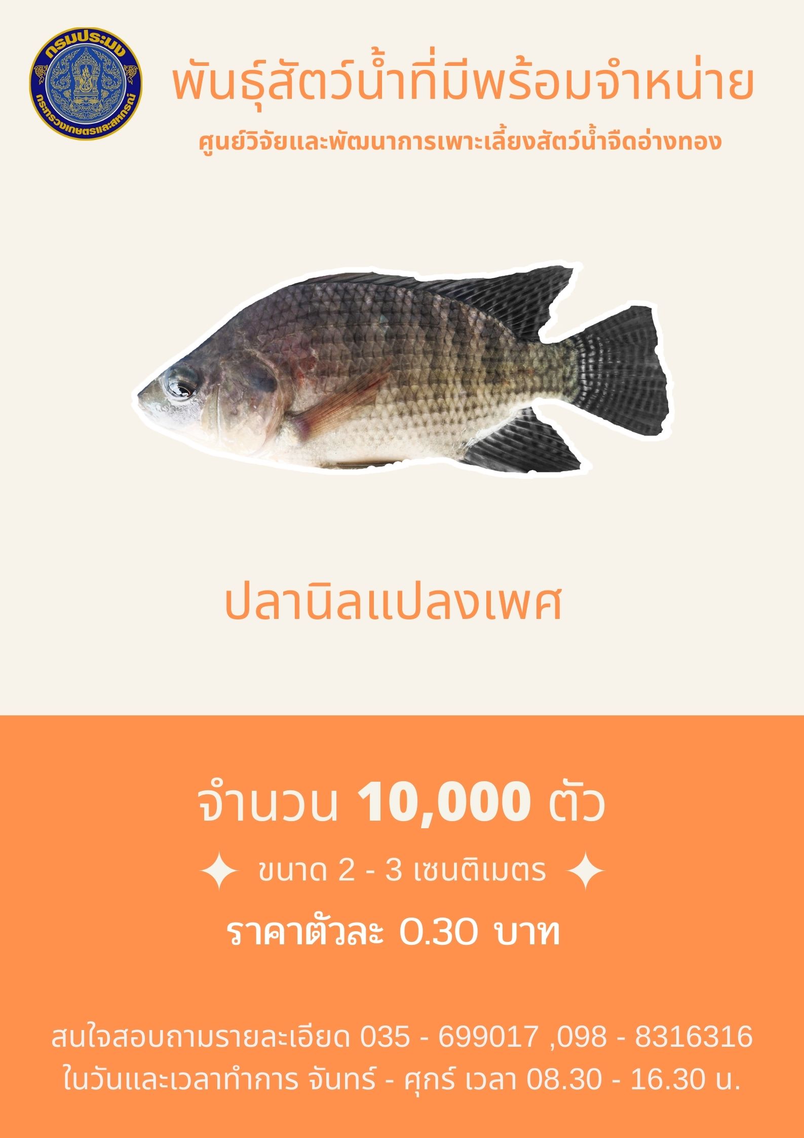 จำหน่ายลูกพันธุ์ปลานิลแปลงเพศ..คลิก