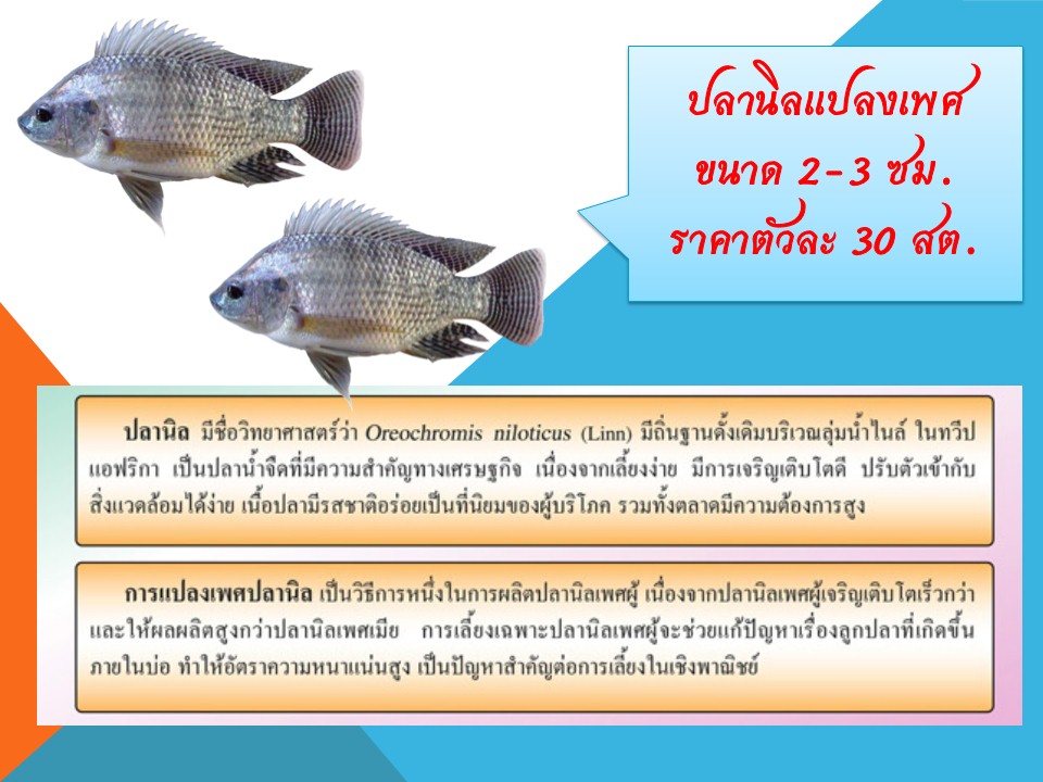 ประชาสัมพันธ์พันธุ์สัตว์น้ำที่เปิดให้จอง เดือน พฤษภาคม 2565