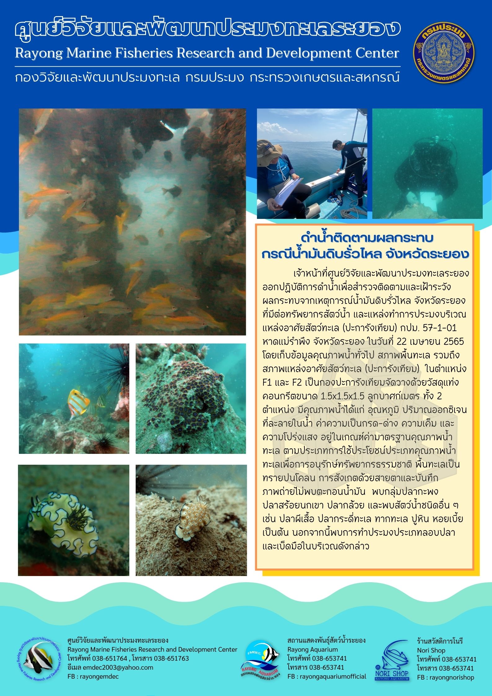 ดำน้ำติดตามผลกระทบกรณีน้ำมันดิบรั่วไหล จังหวัดระยอง..คลิก
