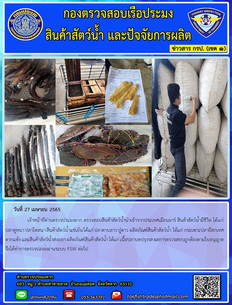 วันที่ 27 เมษายน 2565   	     เจ้าหน้าที่ด่านตรวจประมงตาก ตรวจสอบสินค้าสัตว์น้ำนำเข้าจากประเทศเมียนมาร์ สินค้าสัตว์น้ำมีชีวิต ได้แก่ ปลาตูหนา ปลาไหลนา สินค้าสัตว์น้ำแช่เย็น ได้แก่ ปลาดาบลาว ปูดาว ผลิตภัณฑ์สินค้าสัตว์น้ำ ได้แก่ กระเพาะปลายี่สกเทศตากแห้ง และสินค้าสัตว์น้ำส่งออก ผลิตภัณฑ์สินค้าสัตว์น้ำ ได้แก่ เนื้อปลาบดปรุงรส ผลการตรวจสอบถูกต้องตามใบอนุญาตจึงได้ทำการตรวจปล่อยผ่านระบบ FSW ต่อไป