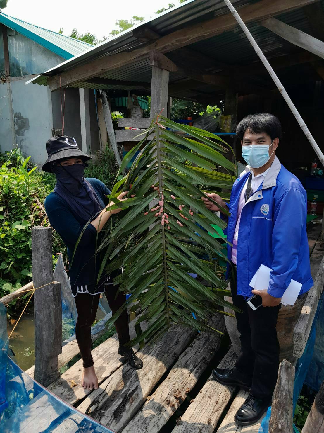 ลงพื้นที่เยี่ยมเกษตรกรผู้เพาะเลี้ยงหอยเชอร์รี่..คลิก
