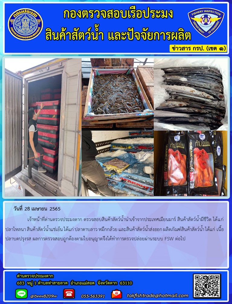 วันที่ 28 เมษายน 2565   	     เจ้าหน้าที่ด่านตรวจประมงตาก ตรวจสอบสินค้าสัตว์น้ำนำเข้าจากประเทศเมียนมาร์ สินค้าสัตว์น้ำมีชีวิต ได้แก่  ปลาไหลนา สินค้าสัตว์น้ำแช่เย็น ได้แก่ ปลาดาบลาว หมึกกล้วย และสินค้าสัตว์น้ำส่งออก ผลิตภัณฑ์สินค้าสัตว์น้ำ ได้แก่ เนื้อปลาบดปรุงรส ผลการตรวจสอบถูกต้องตามใบอนุญาตจึงได้ทำการตรวจปล่อยผ่านระบบ FSW ต่อไป