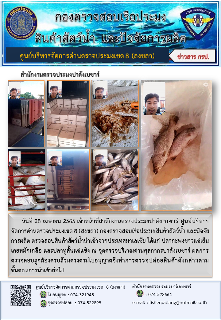 ประชาสัมพันธ์การปฏิบัติงาน วันที่ 28 เมษายน 2565 สำนักงานตรวจประมงปาดังเบซาร์..คลิก