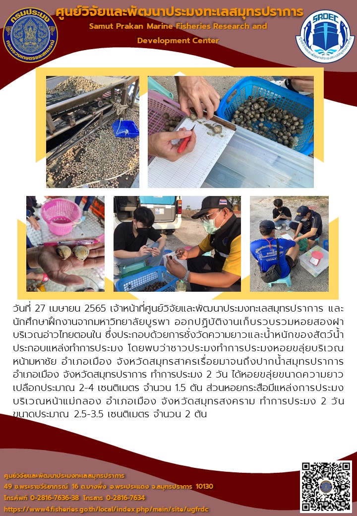 เจ้าหน้าที่ศูนย์วิจัยและพัฒนาประมงทะเลสมุทรปราการ และนักศึกษาฝึกงานจากมหาวิทยาลัยบูรพา ออกปฏิบัติงานเก็บรวบรวมหอยสองฝาบริเวณอ่าวไทยตอนใน..คลิก
