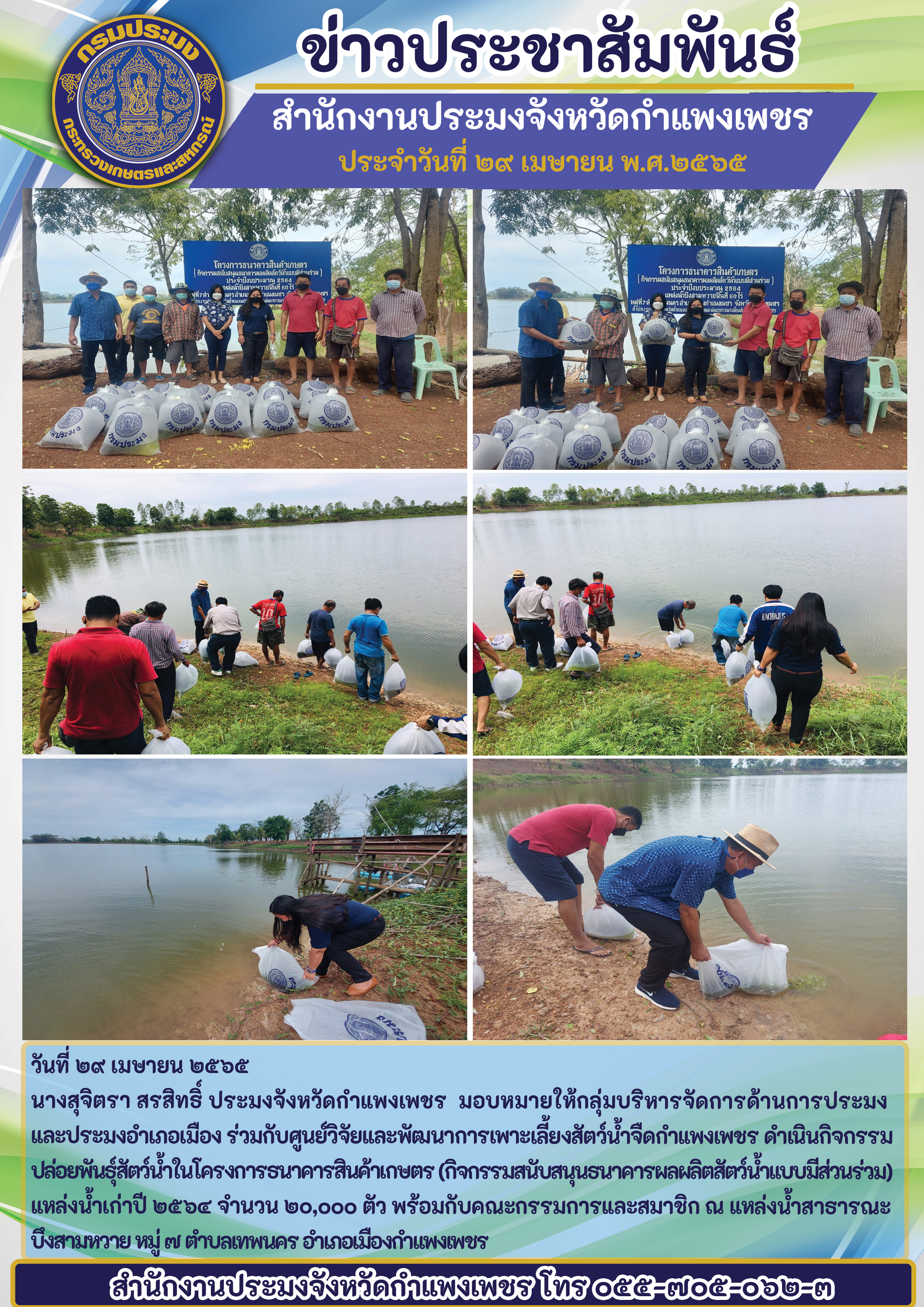 ปล่อยพันธุ์สัตว์น้ำในโครงการธนาคารสินค้าเกษตร (กิจกรรมสนับสนุนธนาคารผลผลิตสัตว์น้ำแบบมีส่วนร่วม) แหล่งน้ำเก่าปี ๒๕๖๔ จำนวน ๒๐,๐๐๐ ตัว พร้อมกับคณะกรรมการและสมาชิก ณ แหล่งน้ำสาธารณะ บึงสามหวาย หมู่ ๗ ตำบลเทพนคร อำเภอเมืองกำแพงเพชร..คลิก