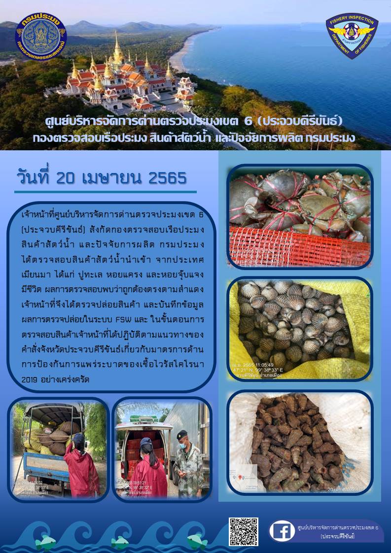 สินค้าสัตว์น้ำนำเข้าจากประเทศเมียนมา