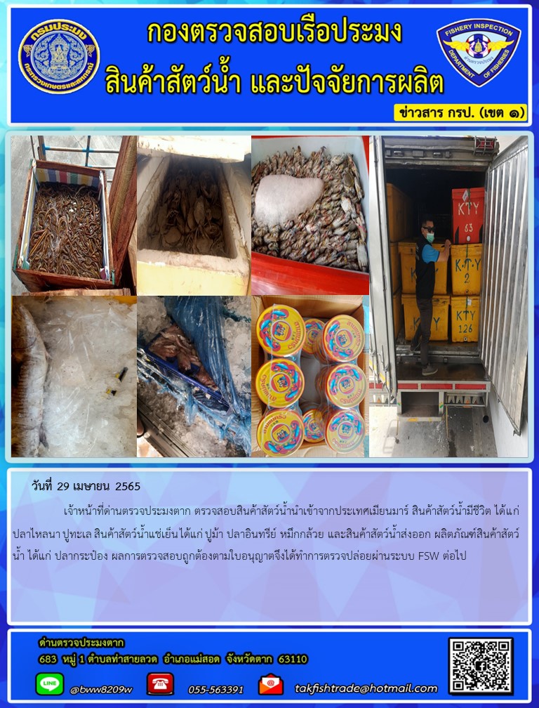 วันที่ 29 เมษายน 2565   	     เจ้าหน้าที่ด่านตรวจประมงตาก ตรวจสอบสินค้าสัตว์น้ำนำเข้าจากประเทศเมียนมาร์ สินค้าสัตว์น้ำมีชีวิต ได้แก่  ปลาไหลนา ปูทะเล สินค้าสัตว์น้ำแช่เย็น ได้แก่ ปูม้า ปลาอินทรีย์ หมึกกล้วย และสินค้าสัตว์น้ำส่งออก ผลิตภัณฑ์สินค้าสัตว์น้ำ ได้แก่ ปลากระป๋อง ผลการตรวจสอบถูกต้องตามใบอนุญาตจึงได้ทำการตรวจปล่อยผ่านระบบ FSW ต่อไป