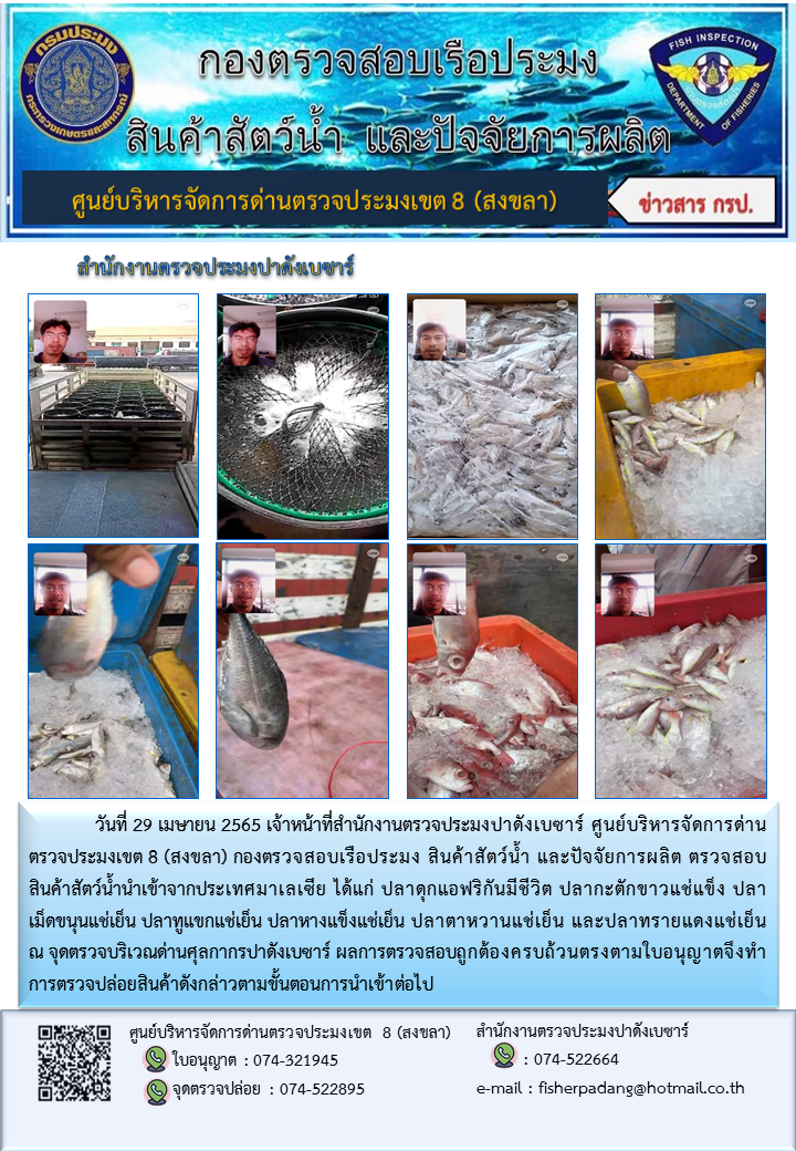 ประชาสัมพันธ์การปฏิบัติงาน วันที่ 29 เมษายน 2565 สำนักงานตรวจประมงปาดังเบซาร์..คลิก