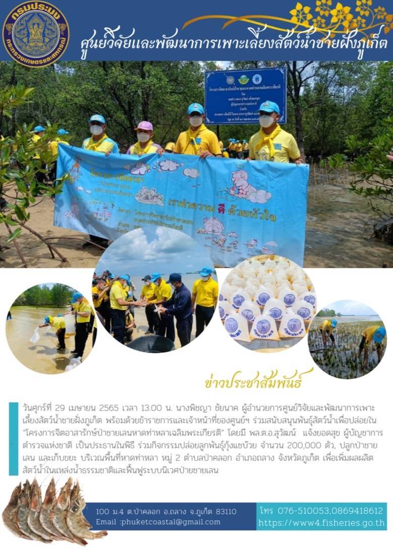โครงการจิตอาสารักษ์ป่าชายเลนหาดท่าหลาเฉลิมพระเกียรติ..คลิก