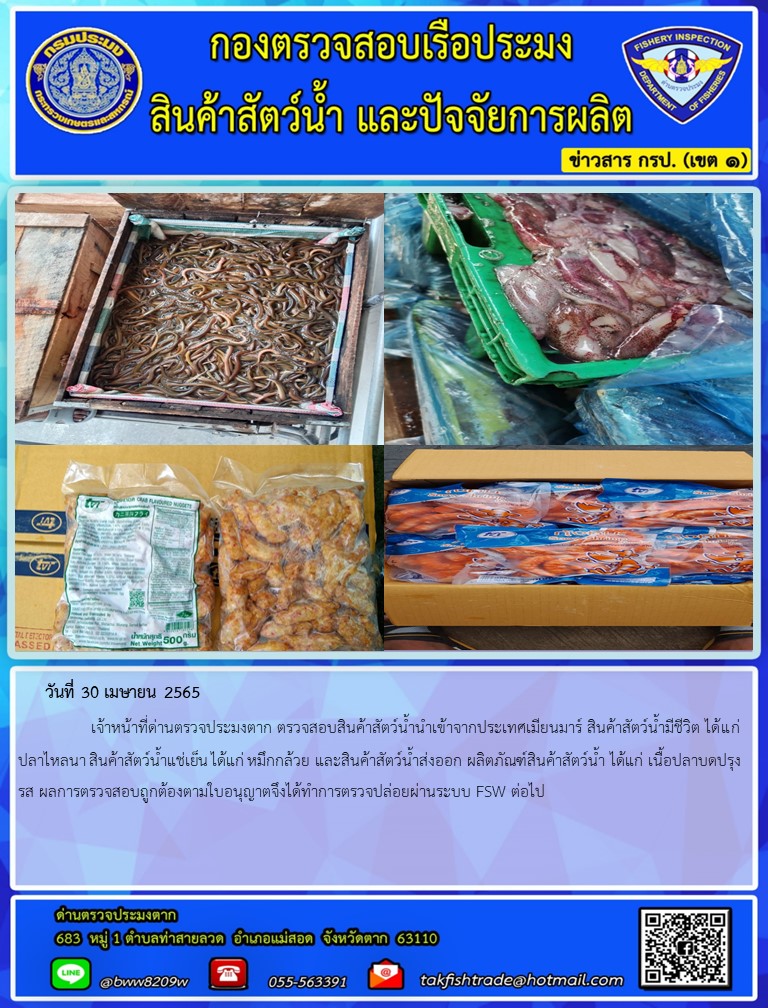 วันที่ 30 เมษายน 2565   	     เจ้าหน้าที่ด่านตรวจประมงตาก ตรวจสอบสินค้าสัตว์น้ำนำเข้าจากประเทศเมียนมาร์ สินค้าสัตว์น้ำมีชีวิต ได้แก่  ปลาไหลนา สินค้าสัตว์น้ำแช่เย็น ได้แก่ หมึกกล้วย และสินค้าสัตว์น้ำส่งออก ผลิตภัณฑ์สินค้าสัตว์น้ำ ได้แก่ เนื้อปลาบดปรุงรส ผลการตรวจสอบถูกต้องตามใบอนุญาตจึงได้ทำการตรวจปล่อยผ่านระบบ FSW ต่อไป