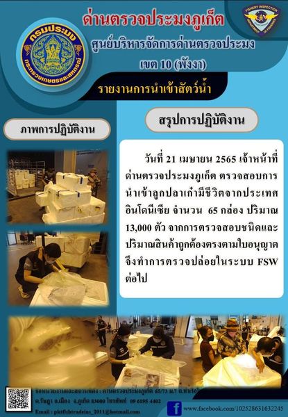วันที่ 21 เมษายน 2565 เจ้าหน้าที่ด่านตรวจประมงภูเก็ต ตรวจสอบการนำเข้าลูกปลาเก๋ามีชีวิตจากประเทศอินโดนีเซีย รวมจำนวน 65 กล่อง ปริมาณ 13,000 ตัว จากการตรวจสอบชนิดและปริมาณสินค้าถูกต้องตรงตามใบอนุญาต จึงทำการตรวจปล่อยในระบบ FSW ต่อไป..คลิก