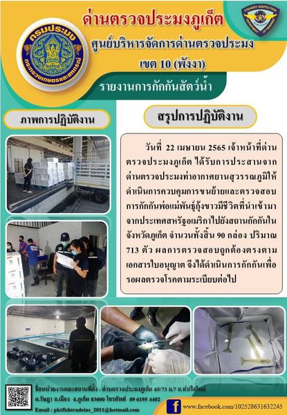 วันที่ 22 เมษายน 2565 เจ้าหน้าที่ด่านตรวจประมงภูเก็ต ได้รับการประสานจากด่านตรวจประมงท่าอากาศยานสุวรรณภูมิให้ดำเนินการควบคุมการขนย้ายและตรวจสอบการกักกันพ่อแม่พันธุ์กุ้งขาวมีชีวิตที่นำเข้ามาจากประเทศสหรัฐอเมริกาไปยังสถานกักกันในจังหวัดภูเก็ต จำนวนทั้งสิ้น 90 กล่อง ปริมาณ 713 ตัว ผลการตรวจสอบถูกต้องตรงตามเอกสารใบอนุญาต จึงได้ดำเนินการกักกันเพื่อรอผลตรวจโรคตามระเบียบต่อไป..คลิก