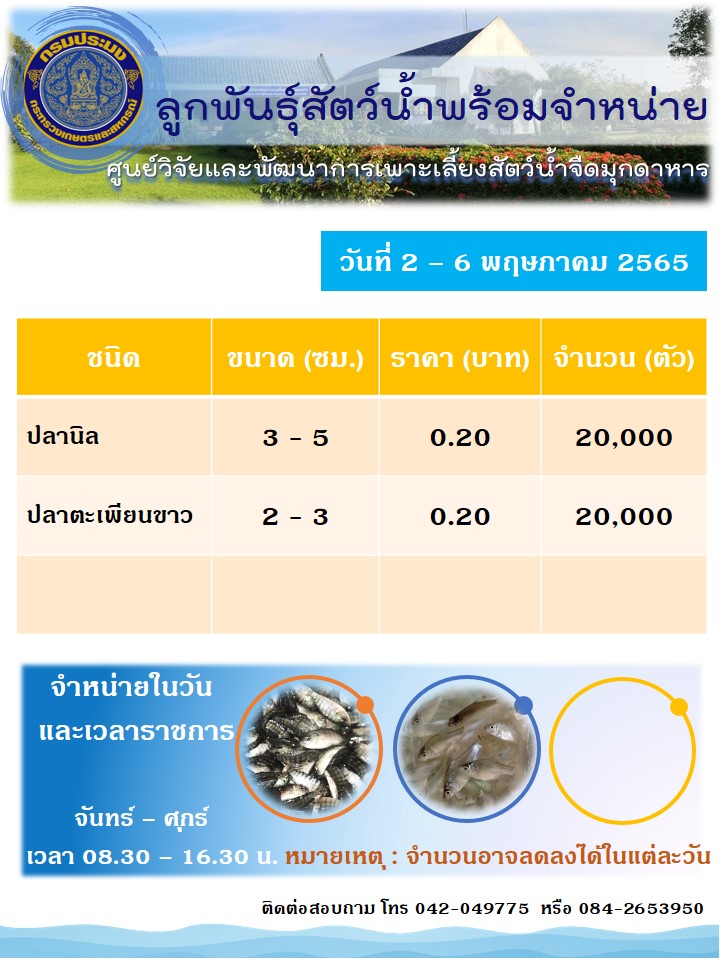 ลูกพันธุ์สัตว์น้ำพร้อมจำหน่าย