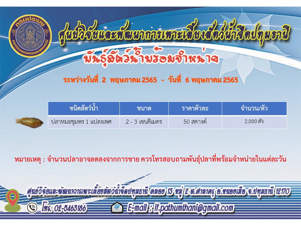พันธุ์สัตว์น้ำพร้อมจำหน่าย..คลิก
