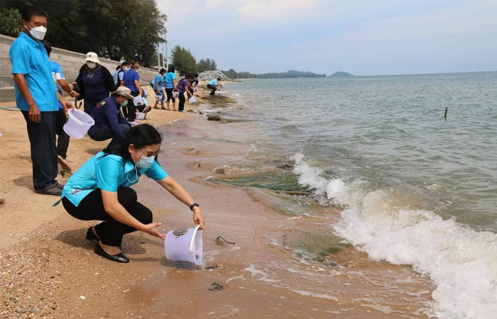 พิธีปล่อยพันธุ์สัตว์น้ำเพื่อเฉลิมพระเกียรติ  เนื่องในโอกาสวันคล้ายวันประสูติ สมเด็จพระเจ้าลูกยาเธอ เจ้าฟ้าทีปังกรรัศมีโชติ มหาวชิโรตตมางกูร สิริวิบูลยราชกุมาร..คลิก