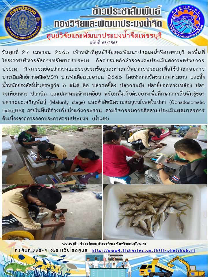 ข่าวประชาสัมพันธ์ครั้งที่ 65/2565