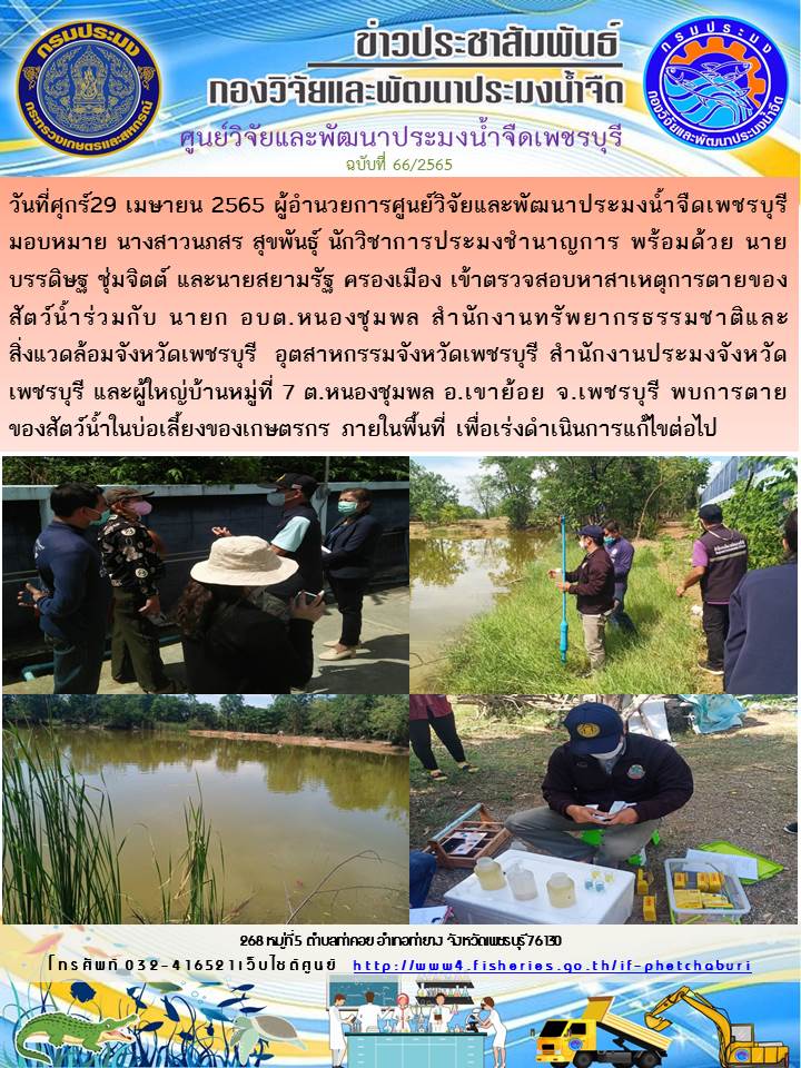 ข่าวประชาสัมพันธ์ครั้งที่ 66/2565..คลิก
