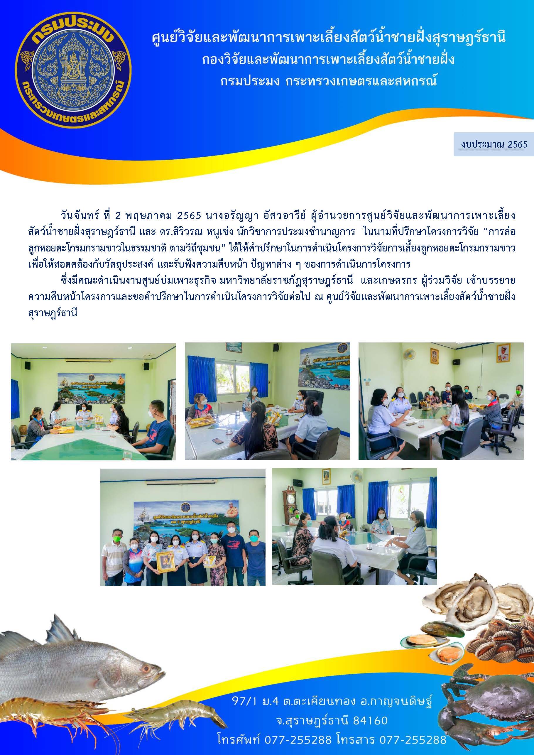 นางอรัญญา อัศวอารีย์ ผู้อำนวยการศูนย์ฯ และ ดร.สิริวรณ หนูเซ่ง ให้คำปรึกษาในการดำเนินโครงการวิจัย “การล่อลูกหอยตะโกรมกรามขาวในธรรมชาติ ตามวิถีชุมชน”