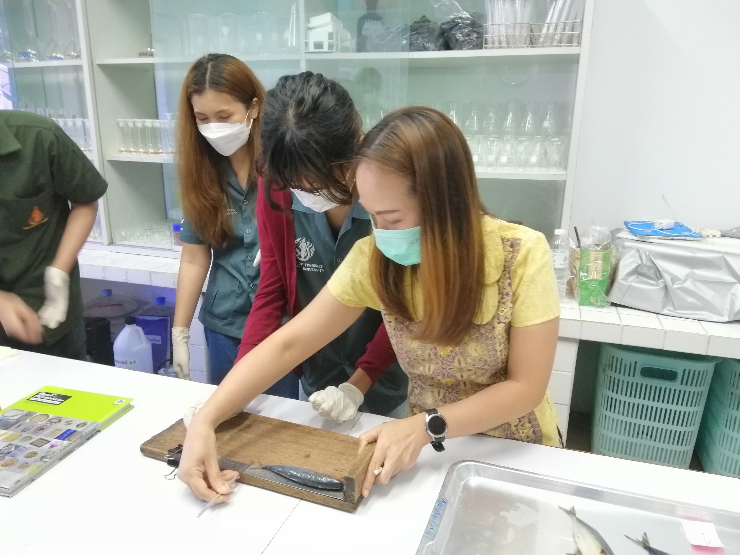 วันอังคารที่ 26 เมษายน 2565 เจ้าหน้าที่ศูนย์วิจัยและพัฒนาประมงทะเลสงขลาให้บริการจำแนกชนิดสัตว์น้ำแก่บริษัทผู้แปรรูปผลิตภัณฑ์สัตว์น้ำ เพื่อออกหนังสือรับรองผลการตรวจสอบ ชนิดสัตว์น้ำ จำนวน 1 ราย..คลิก