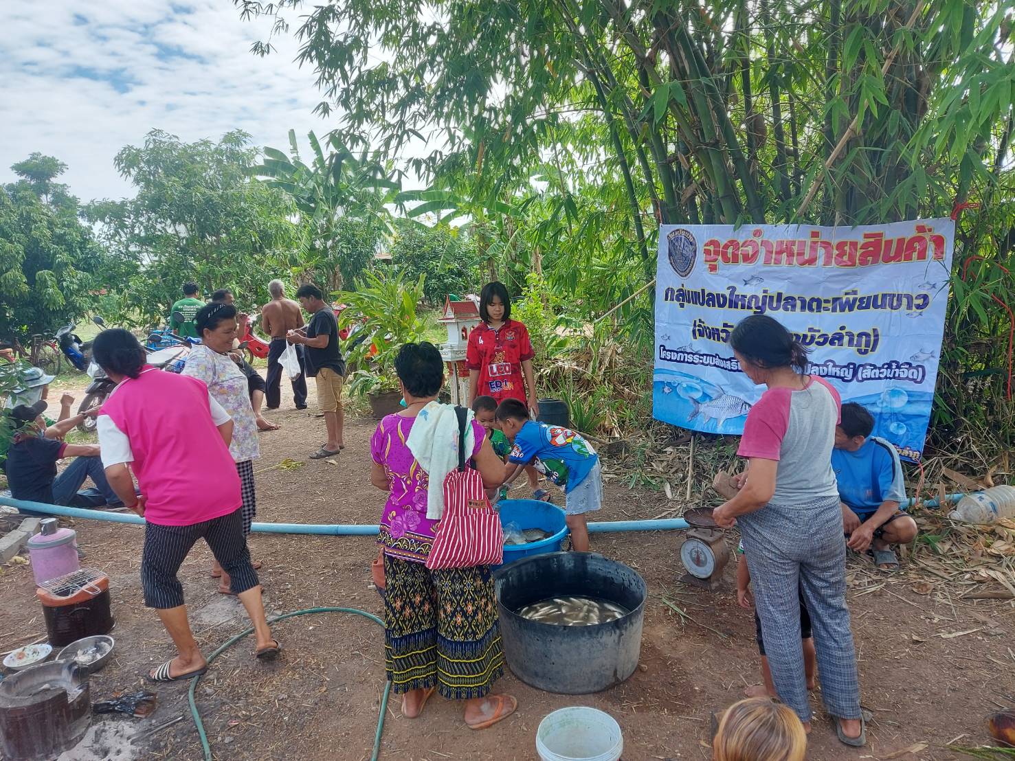 วันที่ 5 พฤษภาคม 2565  นายเมธา ตาลเหล็ก ประมงอำเภอนากลาง ติดตามการจับผลผลิตและการจำหน่ายผลผลิตสินค้าของแปลงใหญ่ปลาตะเพียนขาว (แปลงปี 2564) กลุ่มผู้เลี้ยงปลาตำบลอุทัยสวรรค์ อำเภอนากลาง จังหวัดหนองบัวลำภู..คลิก