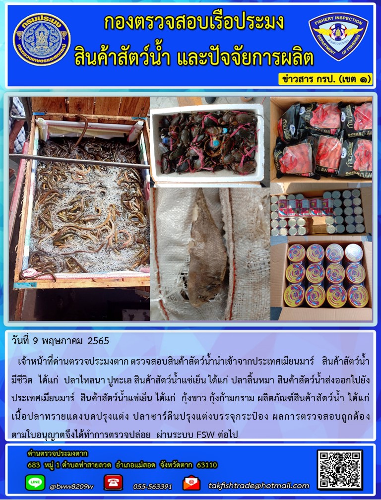 วันที่ 9 พฤษภาคม 2565   เจ้าหน้าที่ด่านตรวจประมงตาก ตรวจสอบสินค้าสัตว์น้ำนำเข้าจากประเทศเมียนมาร์   สินค้าสัตว์น้ำ  มีชีวิต  ได้แก่  ปลาไหลนา ปูทะเล สินค้าสัตว์น้ำแช่เย็น ได้แก่ ปลาลิ้นหมา สินค้าสัตว์น้ำส่งออกไปยังประเทศเมียนมาร์  สินค้าสัตว์น้ำแช่เย็น ได้แก่  กุ้งขาว กุ้งก้ามกราม ผลิตภัณฑ์สินค้าสัตว์น้ำ ได้แก่  เนื้อปลาทรายแดงบดปรุงแต่ง ปลาซาร์ดีนปรุงแต่งบรรจุกระป๋อง ผลการตรวจสอบถูกต้อง ตามใบอนุญาตจึงได้ทำการตรวจปล่อย  ผ่านระบบ FSW ต่อไป..คลิก
