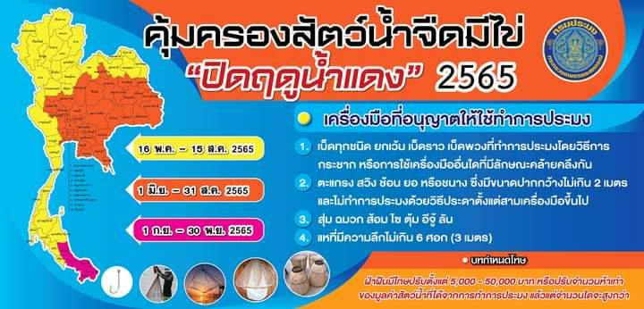 กรมประมง กำหนดคุ้มครองสัตว์น้ำจืดมีไข่ “ปิดฤดูน้ำแดง” 2565