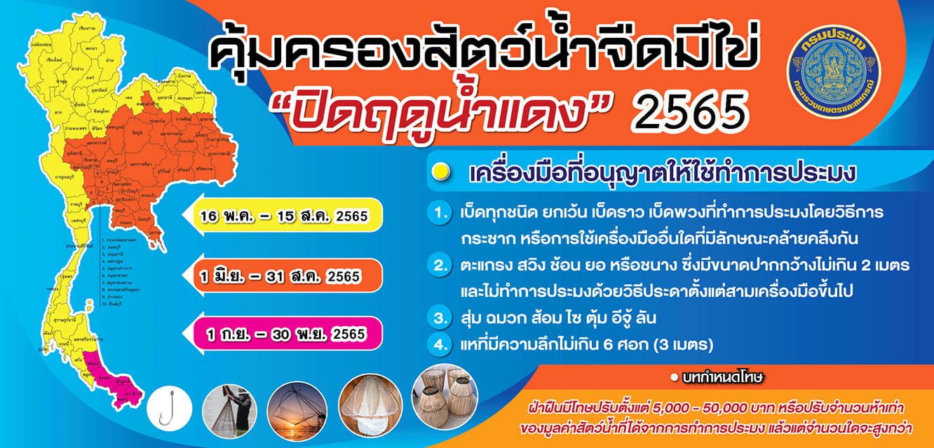ห้ามทำการประมงทุกชนิด ตั้งแต่วันที่ 16 พ.ค. 2565 ถึงวันที่ 15 ส.ค. 2565
