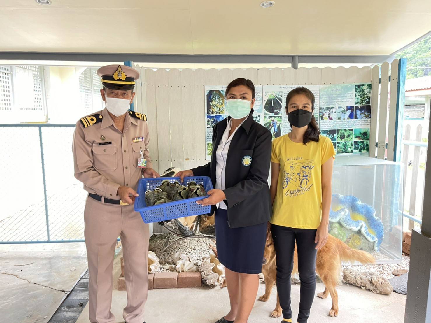 ศพช.ประจวบคีรีขันธ์ ส่งมอบพันธุ์หอยมือเสือจำนวน 50 ตัว ให้กับทัพเรือภาคที่1ชลบุรี เพื่อนำไปปล่อยในกิจกรรม 