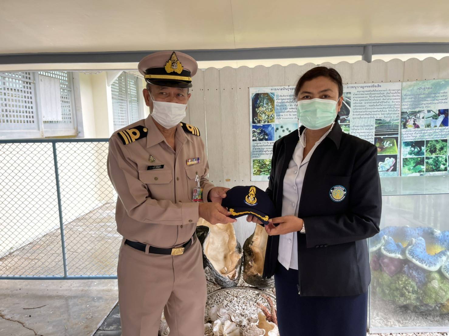 ศพช.ประจวบคีรีขันธ์ ส่งมอบพันธุ์หอยมือเสือจำนวน 50 ตัว ให้กับทัพเรือภาคที่1ชลบุรี เพื่อนำไปปล่อยในกิจกรรม 