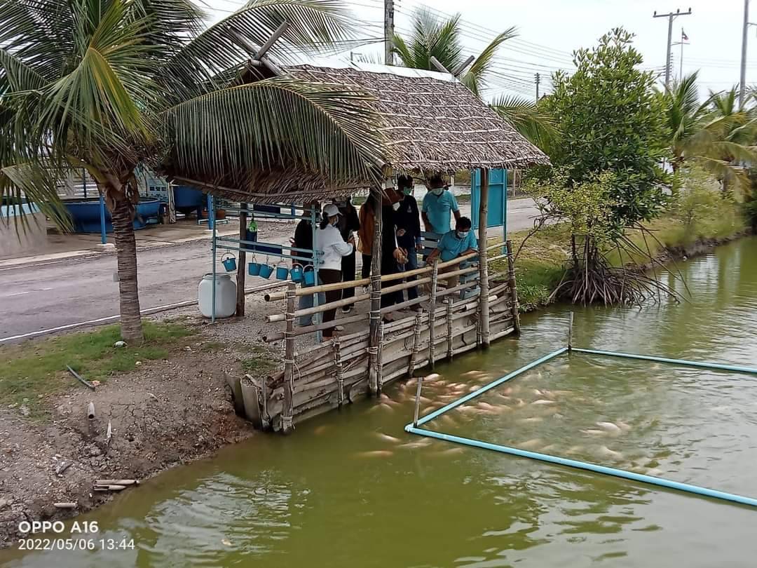 เจ้าหน้าที่จากสำนักงานเกษตรและสหกรณ์จังหวัดเพชรบุรี  เข้าศึกษาดูงานด้านประมงและเยี่ยมชมฟาร์มทะเลตัวอย่างในสมเด็จพระนางเจ้าสิริกิติ์ พระบรมราชินีนาถ จังหวัดเพชรบุรี