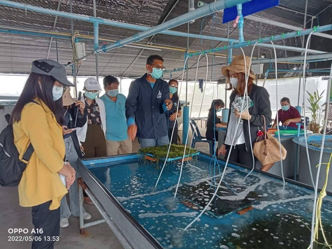 เจ้าหน้าที่จากสำนักงานเกษตรและสหกรณ์จังหวัดเพชรบุรี  เข้าศึกษาดูงานด้านประมงและเยี่ยมชมฟาร์มทะเลตัวอย่างในสมเด็จพระนางเจ้าสิริกิติ์ พระบรมราชินีนาถ จังหวัดเพชรบุรี..คลิก