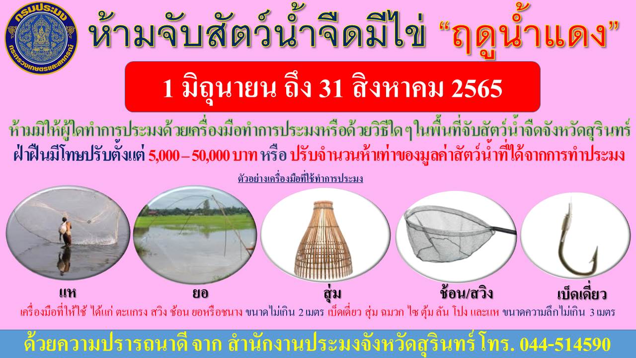 ประกาศฤดูน้ำแดงปี 2565 จังหวัดสุรินทร์