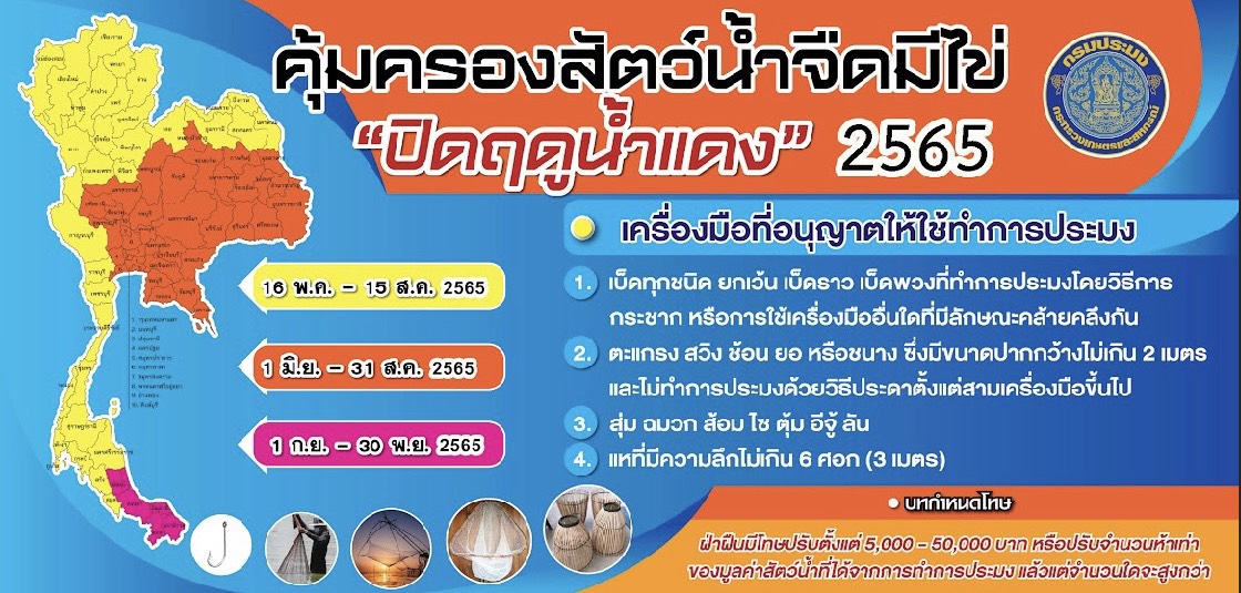 ประชาสัมพันธ์ คุ้มครองสัตว์น้ำจืดมีไข่..คลิก