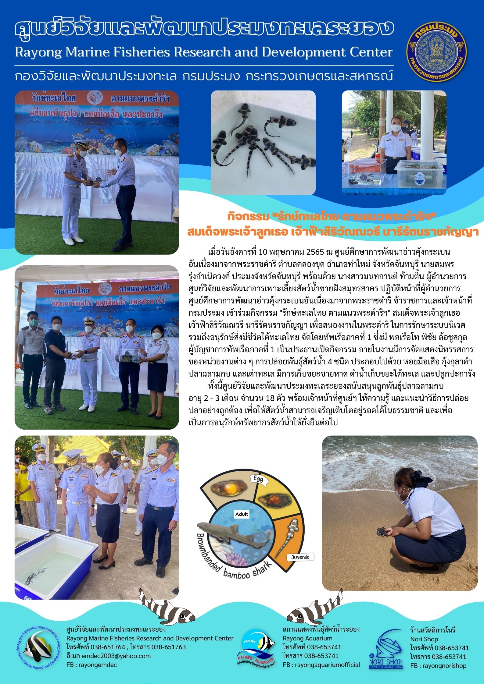 กิจกรรมรักษ์ทะเลไทย ตามแนวพระดำริฯ..คลิก