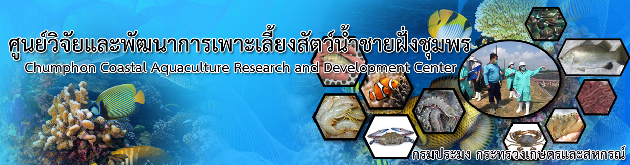 แบนเนอร์