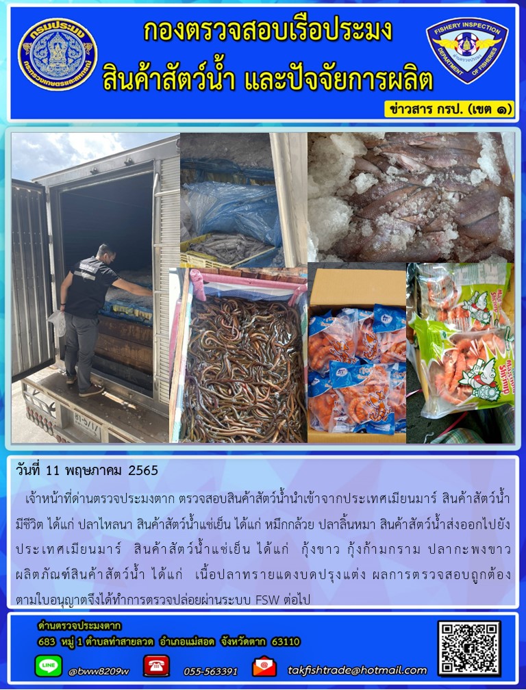 วันที่ 11 พฤษภาคม 2565   เจ้าหน้าที่ด่านตรวจประมงตาก ตรวจสอบสินค้าสัตว์น้ำนำเข้าจากประเทศเมียนมาร์ สินค้าสัตว์น้ำ      มีชีวิต ได้แก่ ปลาไหลนา สินค้าสัตว์น้ำแช่เย็น ได้แก่ หมึกกล้วย ปลาลิ้นหมา สินค้าสัตว์น้ำส่งออกไปยังประเทศเมียนมาร์  สินค้าสัตว์น้ำแช่เย็น ได้แก่  กุ้งขาว กุ้งก้ามกราม ปลากะพงขาว                  ผลิตภัณฑ์สินค้าสัตว์น้ำ ได้แก่  เนื้อปลาทรายแดงบดปรุงแต่ง ผลการตรวจสอบถูกต้อง                        ตามใบอนุญาตจึงได้ทำการตรวจปล่อยผ่านระบบ FSW ต่อไป..คลิก