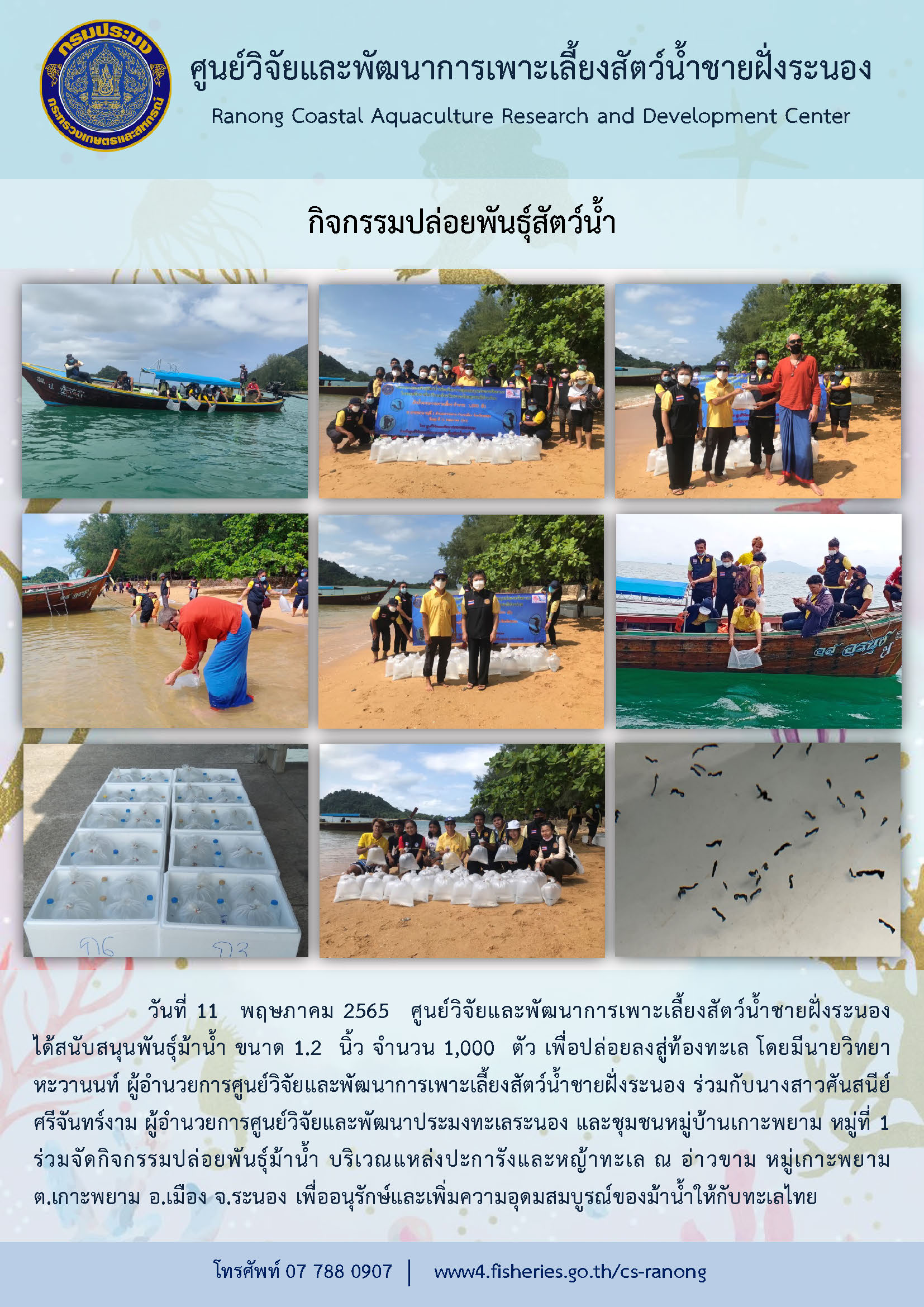 กิจกรรมปล่อยพันธุ์สัตว์น้ำ (ม้าน้ำ) ครั้งที่ 2..คลิก