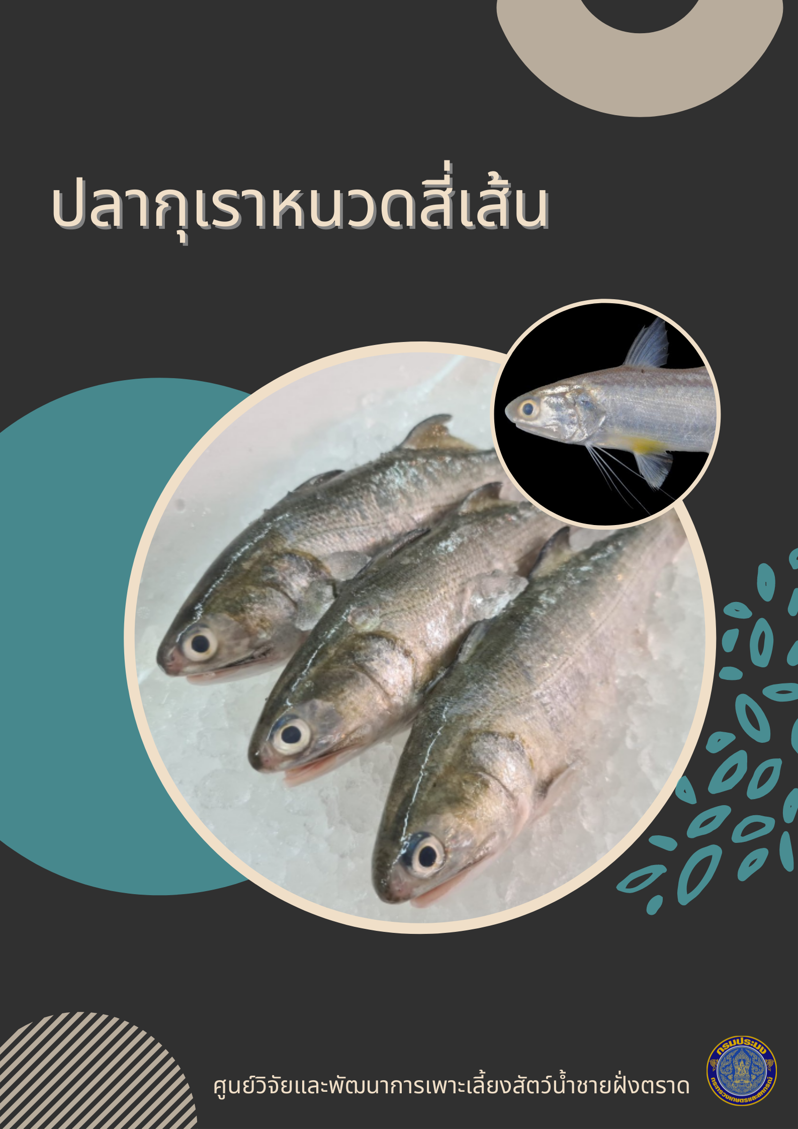 สาระน่ารู้เกี่ยวกับปลากุเราหนวดสี่เส้น