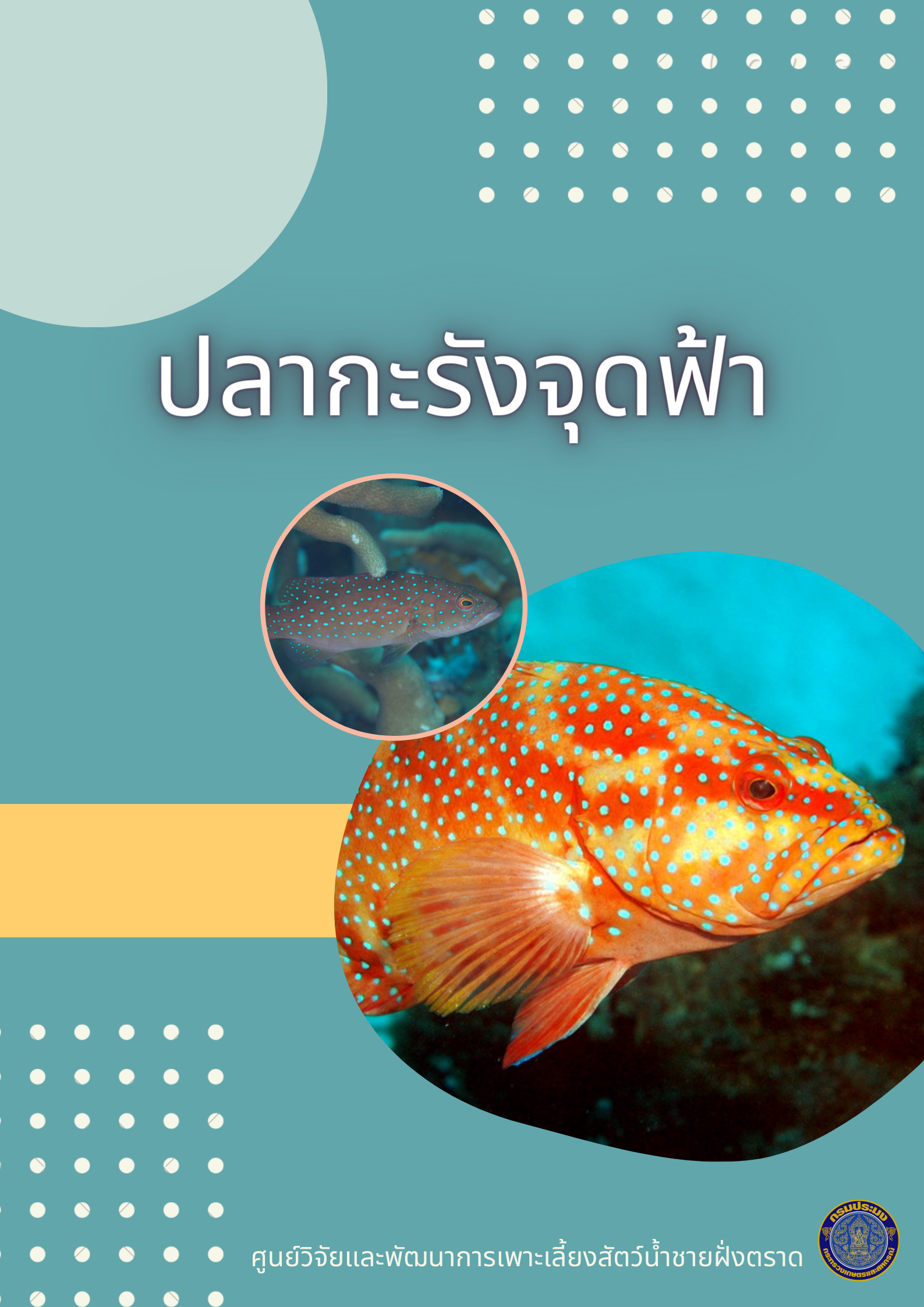 สาระน่ารู้เกี่ยวกับปลากะรังจุดฟ้า
