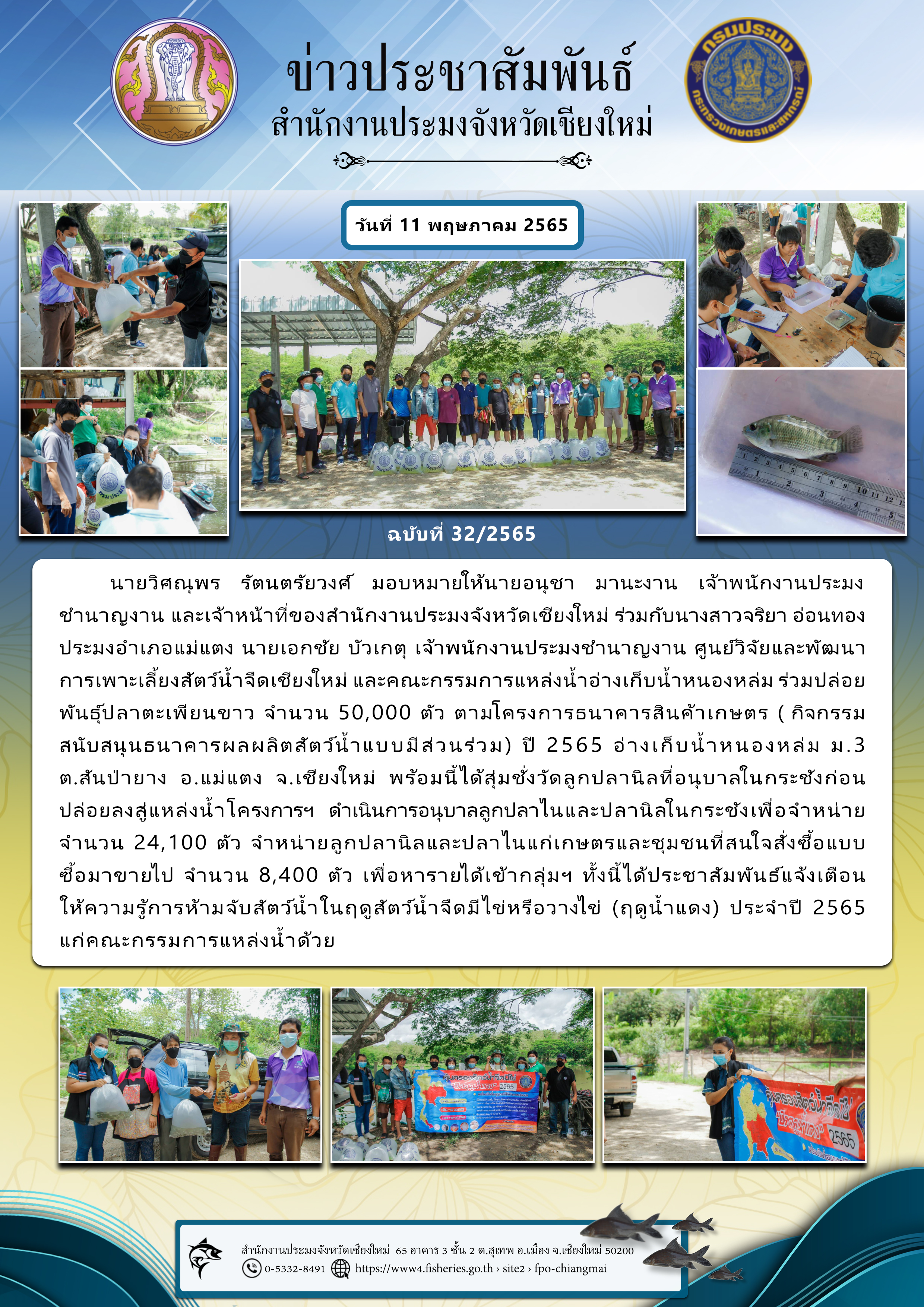 ร่วมปล่อยพันธุ์ปลาตะเพียนขาว จำนวน 50,000 ตัว ตามโครงการธนาคารสินค้าเกษตร (กิจกรรมสนับสนุนธนาคารผลผลิตสัตว์น้ำแบบมีส่วนร่วม) ปี 2565 อ่างเก็บน้ำหนองหล่ม ม.3 ต.สันป่ายาง อ.แม่แตง จ.เชียงใหม่..คลิก