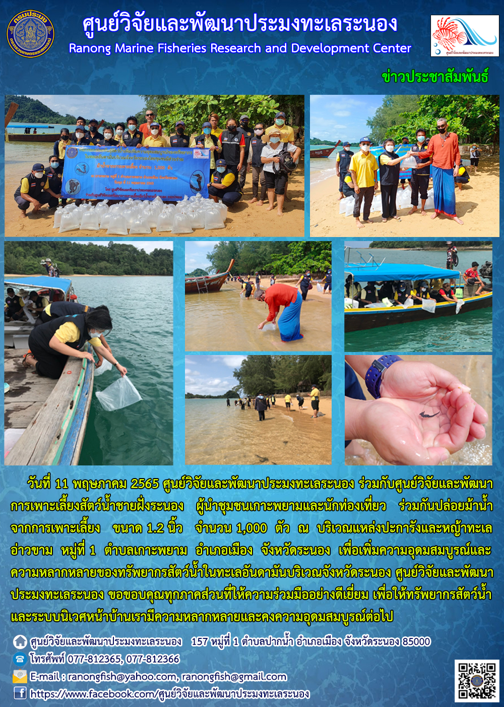 ศพท.ระนอง ร่วมกับศูนย์วิจัยและพัฒนาการเพาะเลี้ยงสัตว์น้ำชายฝั่งระนอง ผู้นำชุมชนเกาะพยามและนักท่องเที่ยว ร่วมกันปล่อยม้าน้ำจากการเพาะเลี้ยง ณ เกาะพยาม วันที่ 11 พ.ค. 2565