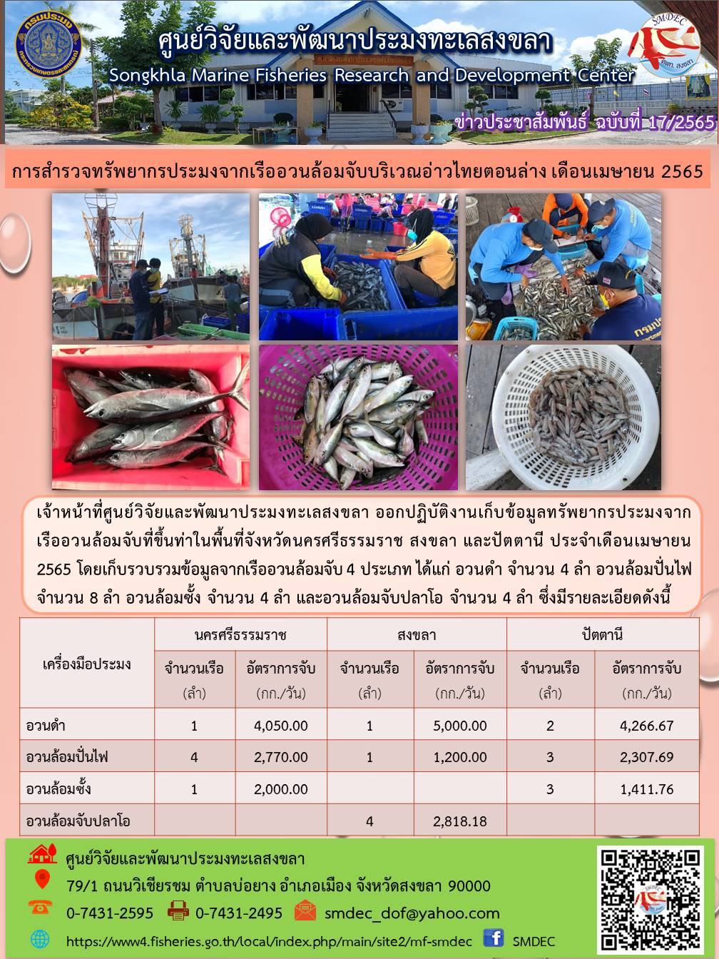 เจ้าหน้าที่ศูนย์วิจัยและพัฒนาประมงทะเลสงขลา ออกปฏิบัติงานเก็บข้อมูลทรัพยากรประมงจากเรืออวนล้อมจับที่ขึ้นท่าในพื้นที่จังหวัดนครศรีธรรมราช สงขลา และปัตตานี ประจำเดือนเมษายน 2565..คลิก