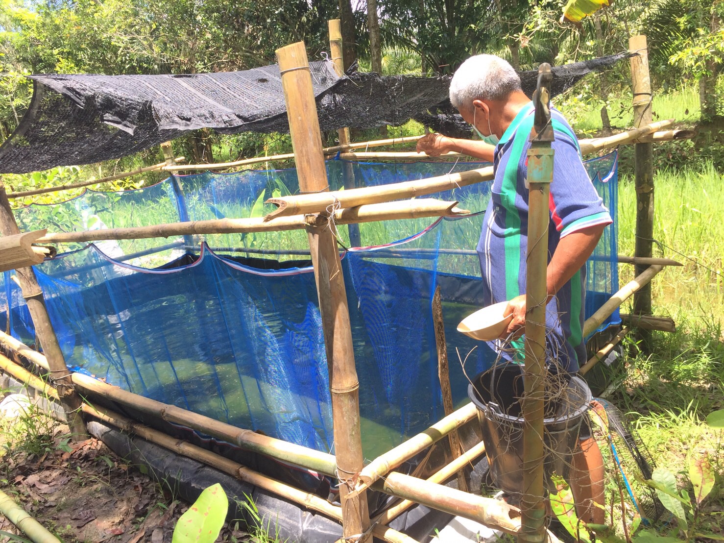 ประมงจังหวัดพัทลุง ลงพื้นที่ติดตามเกษตรกรที่เข้าร่วมโครงการา่งเสริมและพัฒนาอาชีพเพื่ิอแก้ไขปัญหาที่ดินทำกินของเกษตรกร พ.ศ,2565